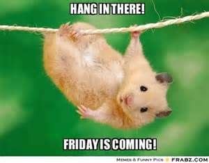 Hang In There Friday Is Coming Pictures Photos And Images For