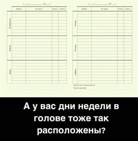 Новый юмор и приколы