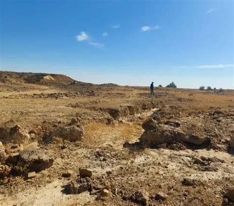 Fosil Tertua Dinosaurus Pemakan Tumbuhan Ditemukan Usianya 167 Juta Tahun