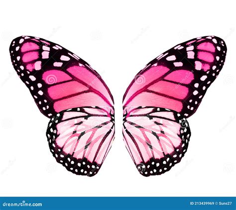 Butterfly Wings Stock Photography CartoonDealer 126859214