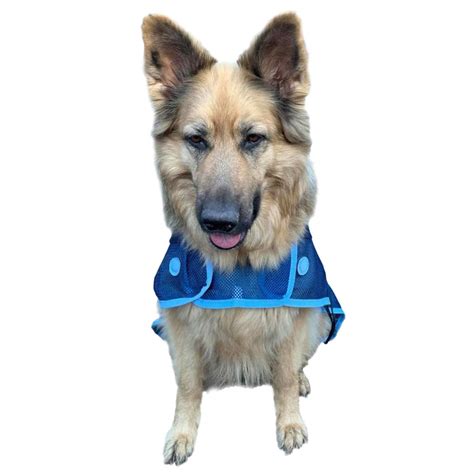 Magnetic Dog Coat Magnetix Therapy