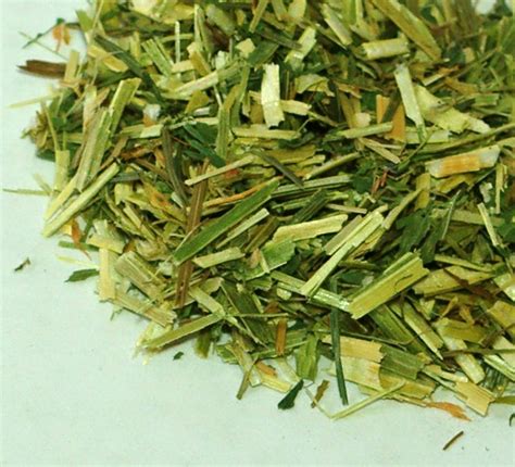 Alfalfa Leaf Herb Cut Leaf Herb Cut And Sifted