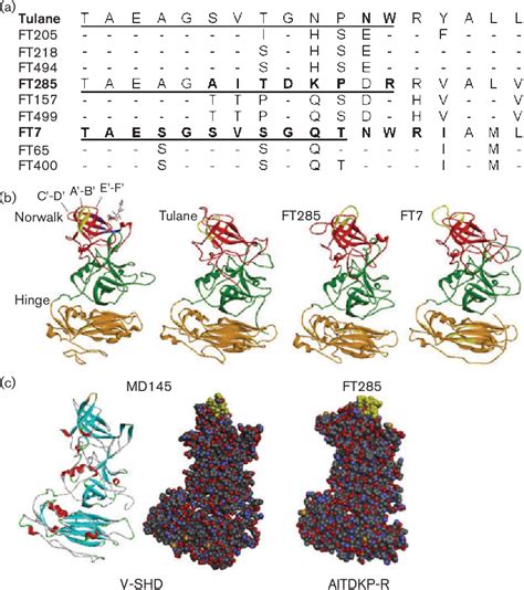 Figure From Relationship Between Genotypes And Serotypes Of Genogroup