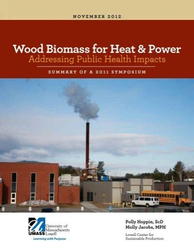 Wood Biomass For Heat And Power Addressing Public Health Impacts