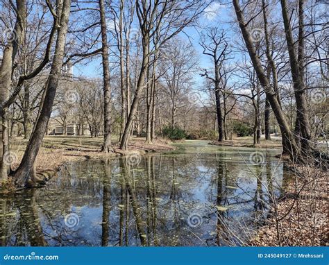 Early Spring Forest And A Pond In Tiergarten Berlin Stock Image