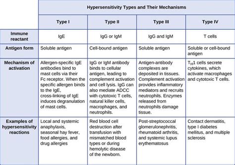 Hypersensitivity Type And Their Mechanism Medizzy