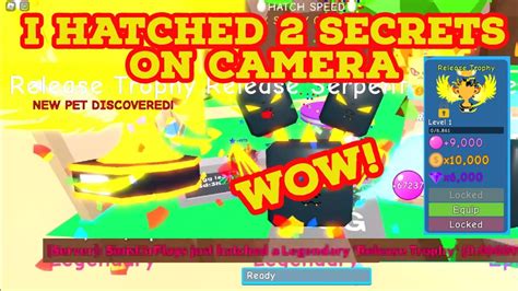 OMG I JUST HATCHED 2 SECRET PETS ON CAMERA ROBLOX VALUES BUBBLEGUM