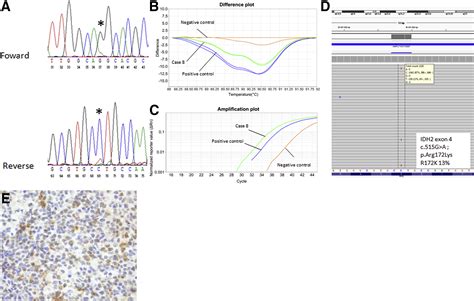 Multiple Ways To Detect Idh2 Mutations In Angioimmunoblastic T Cell