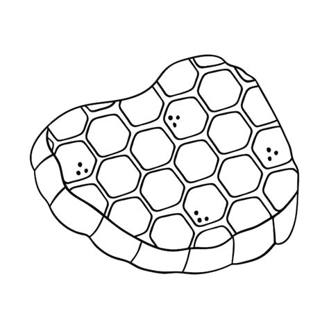 Premium Vector Hand Drawn Honeycomb