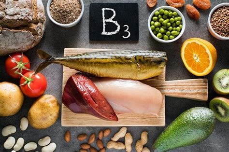 Vitamine B3 caractéristiques et rôles biologiques Nutrixeal Info