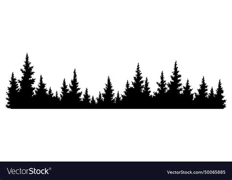 Fir Trees Silhouette Coniferous Spruce Horizontal Vector Image