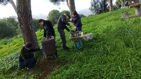 Las Delegaciones De Medio Ambiente Y De Los Cortijillos Colocan Nuevas