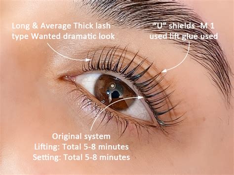 Amazon Eyelash Perm Kit Libeauty Lash Lift System With New Lash