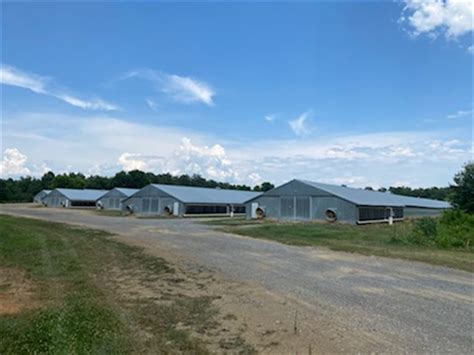 House Broiler Poultry Farm Farm For Sale In Georgia Farmflip