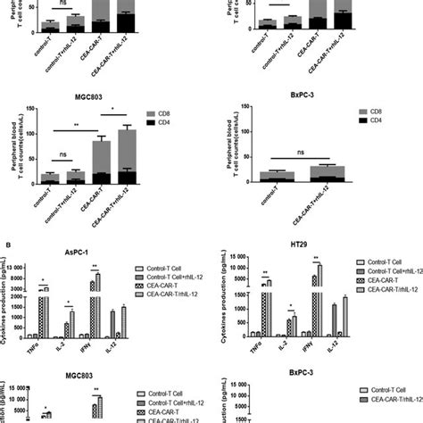 In Vitro Proliferation And Cytotoxicity Of Ceacart Cells In