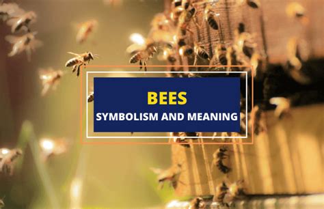 Bee Ing Symbolic Understanding The Bees Profound Meaning Symbol Sage