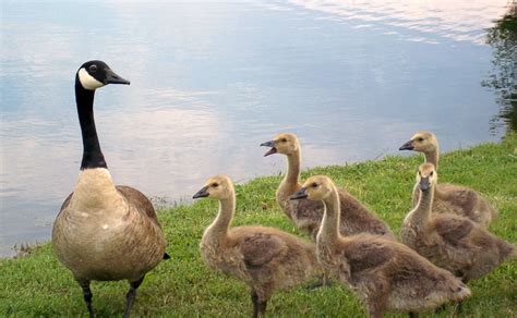 Pin On Texas Nature Pics