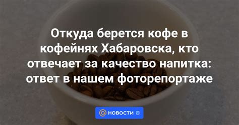 Откуда берется кофе в кофейнях Хабаровска, кто отвечает за качество ...