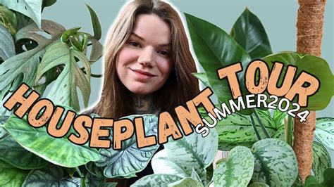 Houseplant Tour Summer 2024 My Indoor Plant Collection Youtube