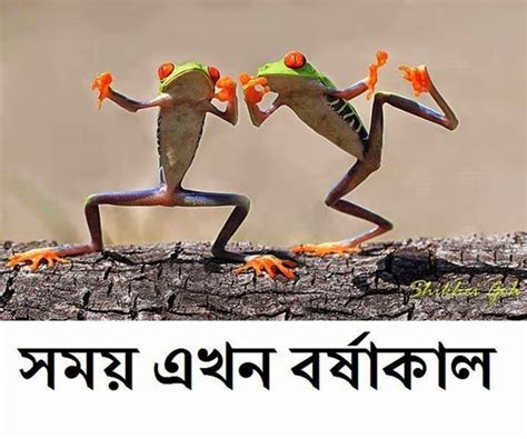 Most funny Bangla FB Comment Photos ~ Charming collection of Photos ...