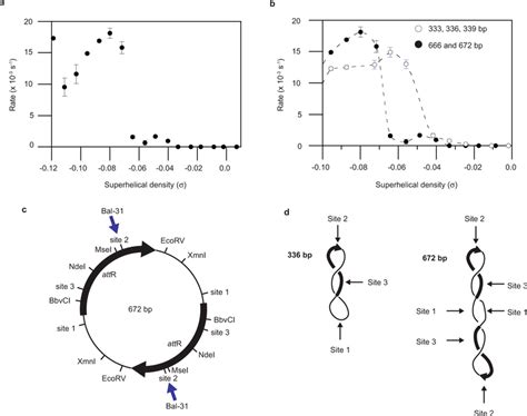 Curvature And Sequence Affect Supercoiling Threshold For DNA Base