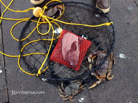 Rigging And Setup For Dungeness Crab