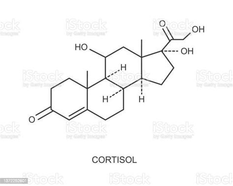 Cortisol Hormone Icon Hydrocortisone Chemical Molecular Structure