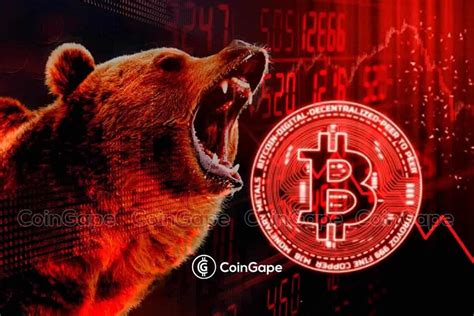 Is A Crypto Bear Market Looming Signs To Watch