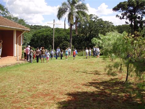 Grupo De Escoteiros Atividades Devem Ser Retomadas Em Get Lio Vargas