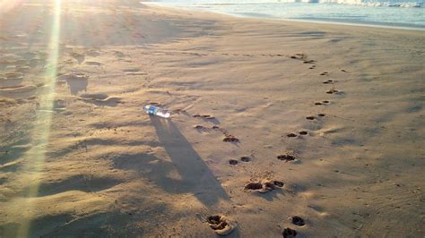 Beach Cleanup | Common Good First