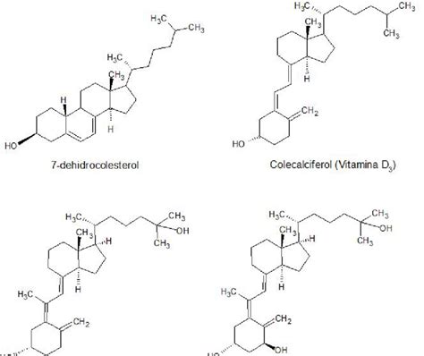 Estruturas químicas do precursor da vitamina D3 (7-dehidrocolesterol) e... | Download Scientific ...