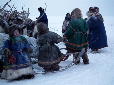 Nenets People Yamal Peninsula Photo