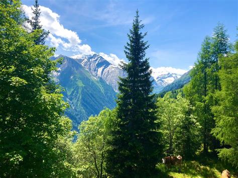 Maiskogel Walk Looking For A Mountain Destination With Lush Alpine