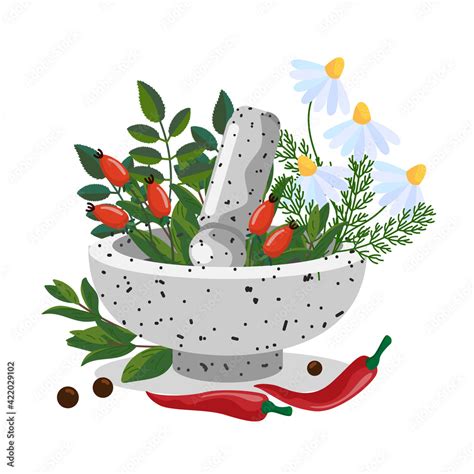 Herbals In A Stone Mortar Bowl Herbal Mortar And Pestle Medicinal