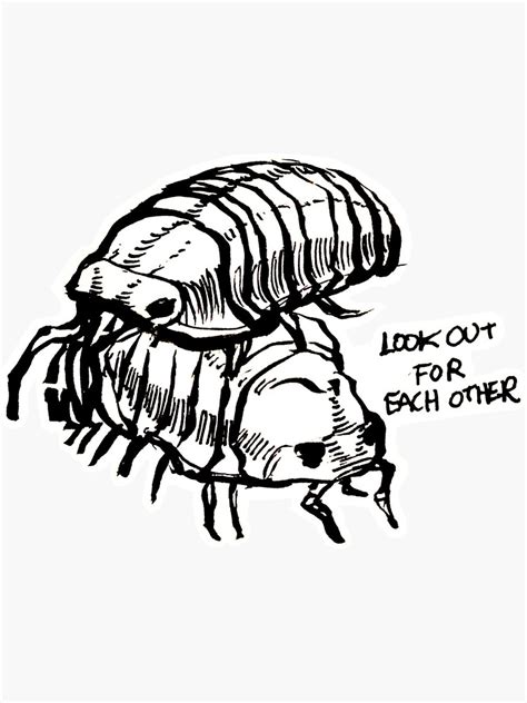 Look Out For Each Other Isopods Sticker By Pillarsalt Redbubble