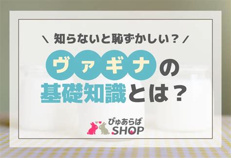 知らないと恥ずかしい？ヴァギナの基礎知識とは？ ぴゅあらばshopマガジン 大人のおもちゃアダルトグッズのおすすめ商品比較