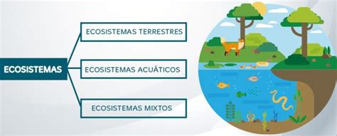 Ecosistemas Terrestres Mundo Primaria