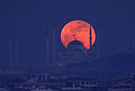Top 999 Lunar Eclipse Wallpapers Full Hd 4k Free To Use