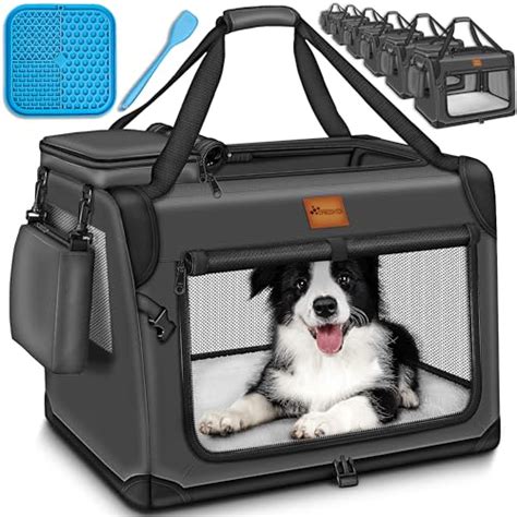 Faltbox Hund Test Haustiereleben