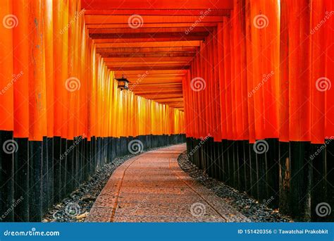 The Red Torii Gates Walkway At Fushimi Inari Taisha Shrine In Kyoto