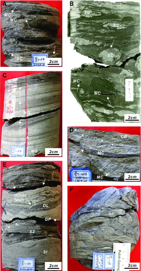 Representative Core Photographs Of Lithofacies SMfc Sng Scb And Sdb