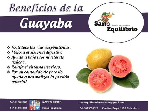 Conoce Los Milagrosos Beneficios De La Guayaba Guayaba Beneficios