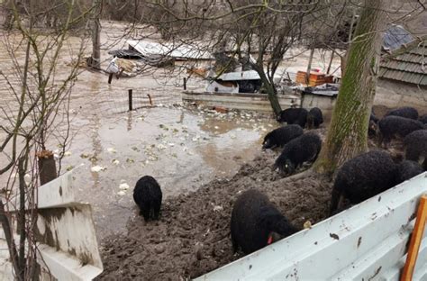 Proglašena vanredna situacija na delu teritorije grada Kraljeva VIDEO