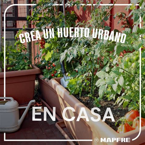 Mapfre Espa A On Twitter Si Las Plantas Son Lo Tuyo Te Contamos