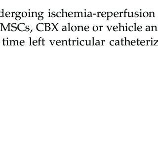 Changes In Cardiac Function Following Ischemia Reperfusion Sample