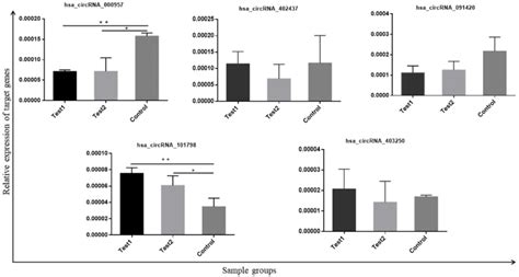 Validation Of The Relative Expression Of Five Selected CircRNAs Using