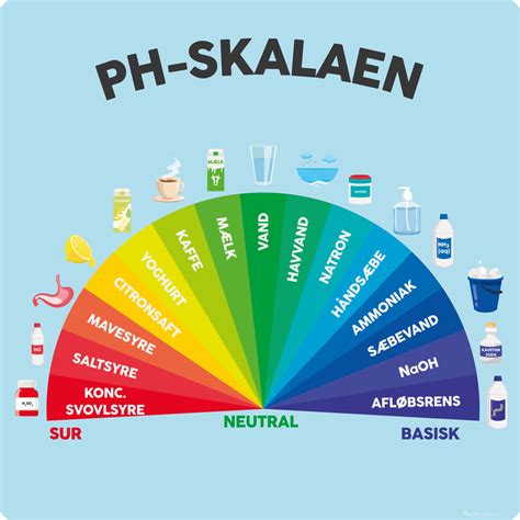 Ph Skalaen L Ringstavler Eduplay