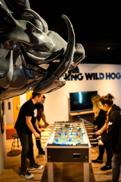 Flying Wild Hog – Founded in 2009 in Warsaw, Poland, independent game studio Flying Wild Hog™s ...