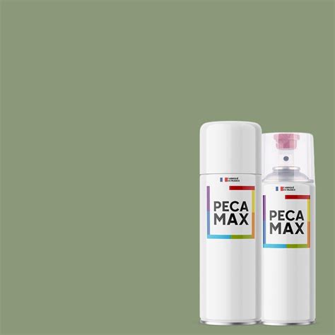 Peinture Ral 6021 Vert Pâle Aérosols 400 Ml