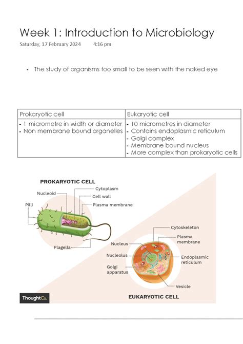 Week 1 Introduction To Microbiology The Study Of Organisms Too Small